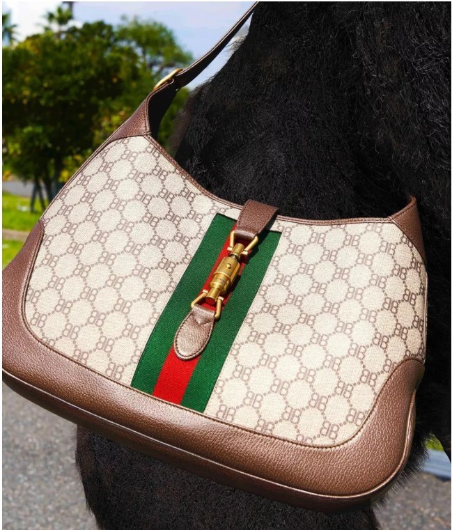 This year the most worthwhile to buy Balenciaga and Gucci cooperation co-branded replica bags (2022 Special)-Best Quality Fake designer Bag Review, Replica designer bag ru