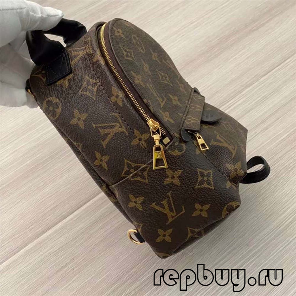 Louis Vuitton M44873 Palm Spring 23cm backpack top replica bags (2022 Special)-Best Quality Fake Louis Vuitton Bag Online Store, Replica designer bag ru