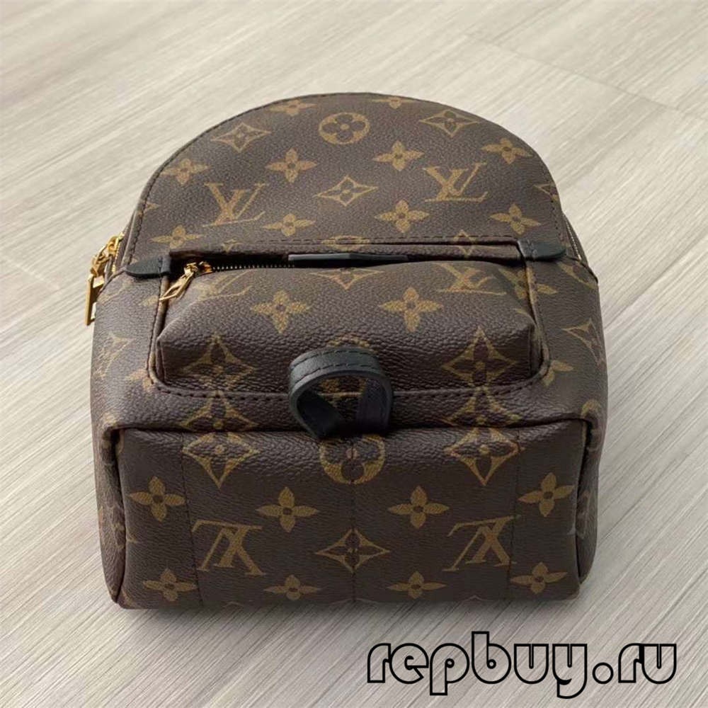 Louis Vuitton M44873 Palm Spring 23cm backpack top replica bags (2022 Special)-Best Quality Fake designer Bag Review, Replica designer bag ru