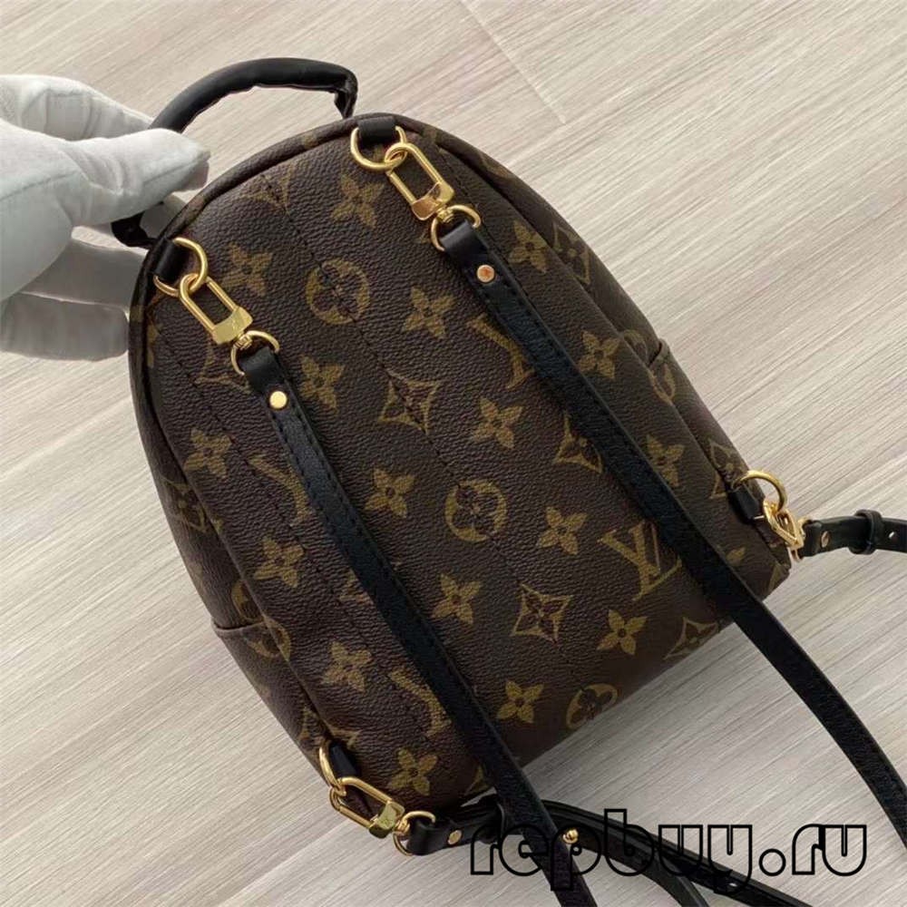 Louis Vuitton M44873 Palm Spring 23cm backpack top replica bags (2022 Special)-Best Quality Fake designer Bag Review, Replica designer bag ru