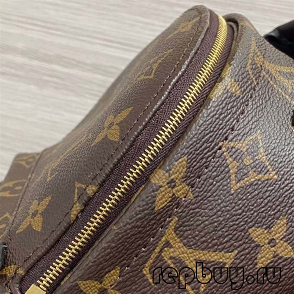 Louis Vuitton M44873 Palm Spring 23cm Shoulder Backpack Top Replica Bags Details (2022 Updated)-Best Quality Fake designer Bag Review, Replica designer bag ru