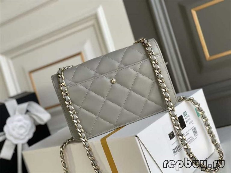 Chanel WOC Lambskin top quality replica bag (2022 updated) Best