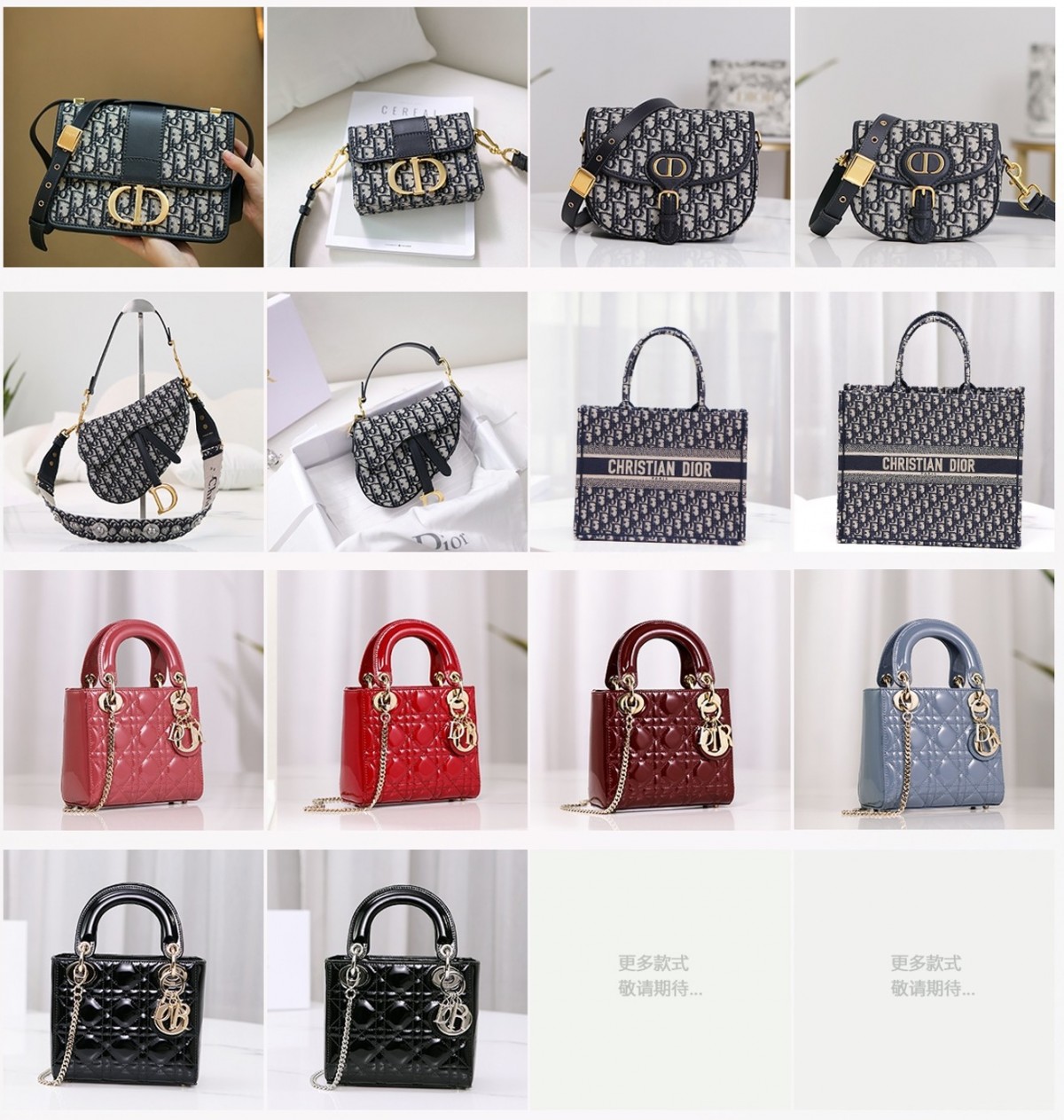 Shebag best seller——Dior tas replika kualitas terbaik（2022 diperbarui）-Toko Online Tas Louis Vuitton Palsu Kualitas Terbaik, tas desainer replika ru