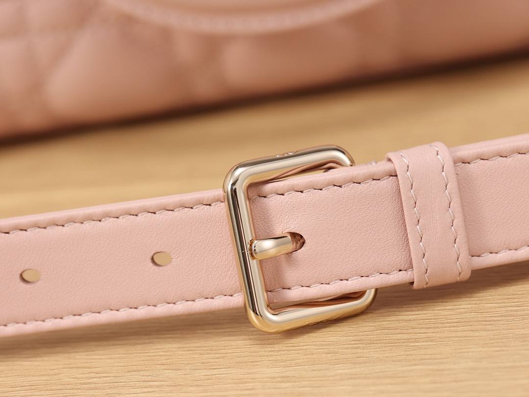 Shebag super replica Lady Dior D Joy pink bag review(2025 July updated)-Bedste kvalitet Fake Louis Vuitton Bag Online Store, Replica designer bag ru