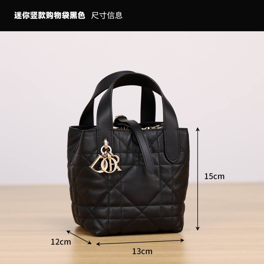 Shebag super replica Dior Toujours mini bag review(Oct 2025 updated)-Інтэрнэт-крама падробленай сумкі Louis Vuitton лепшай якасці, рэплікі дызайнерскай сумкі ru