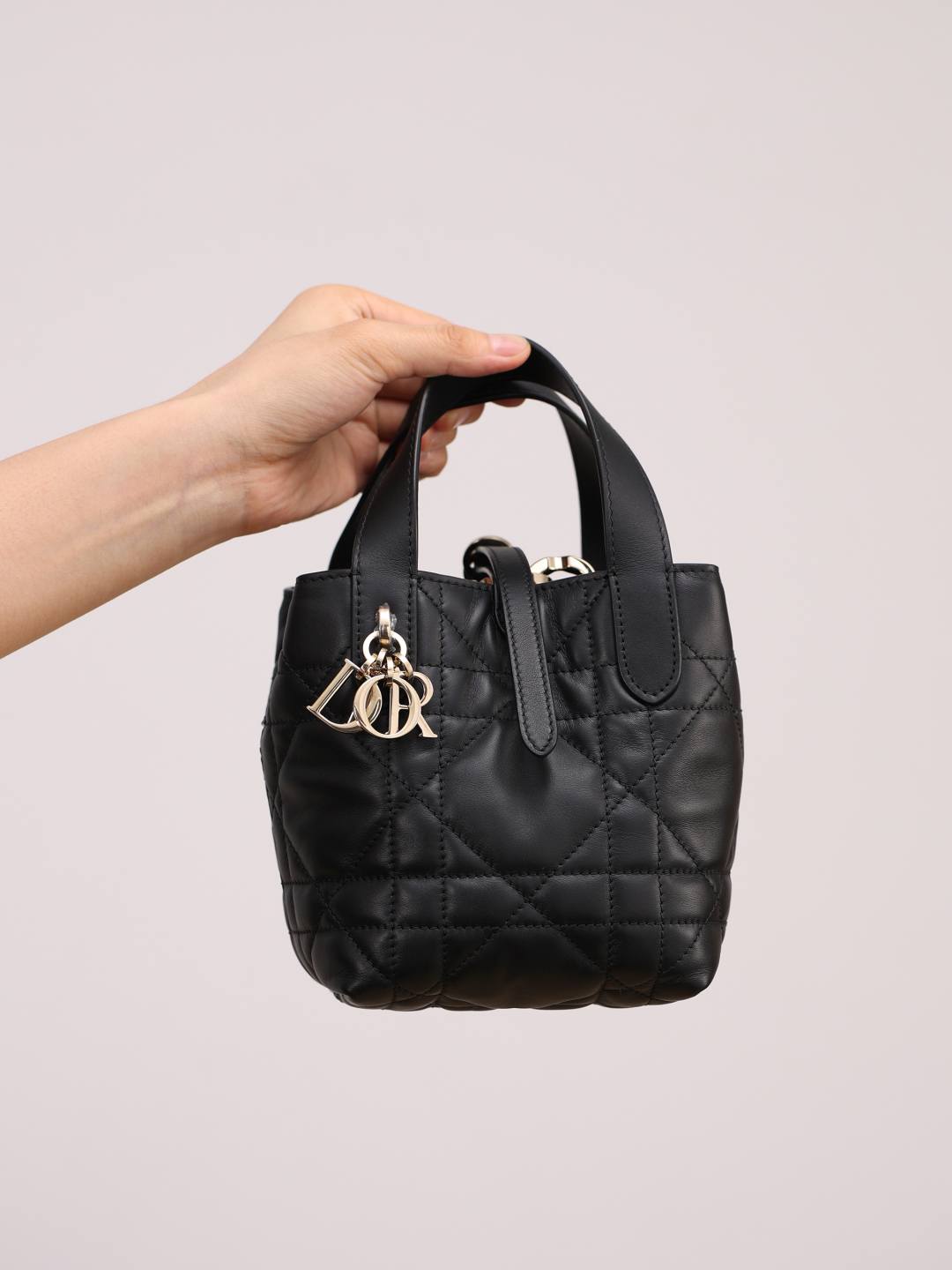 Shebag super replica Dior Toujours mini bag review(Oct 2025 updated)-Інтэрнэт-крама падробленай сумкі Louis Vuitton лепшай якасці, рэплікі дызайнерскай сумкі ru