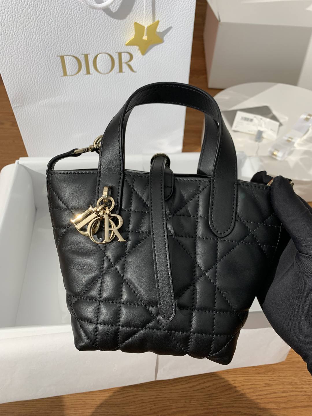 Shebag super replica Dior Toujours mini bag review(Oct 2025 updated)-Інтэрнэт-крама падробленай сумкі Louis Vuitton лепшай якасці, рэплікі дызайнерскай сумкі ru