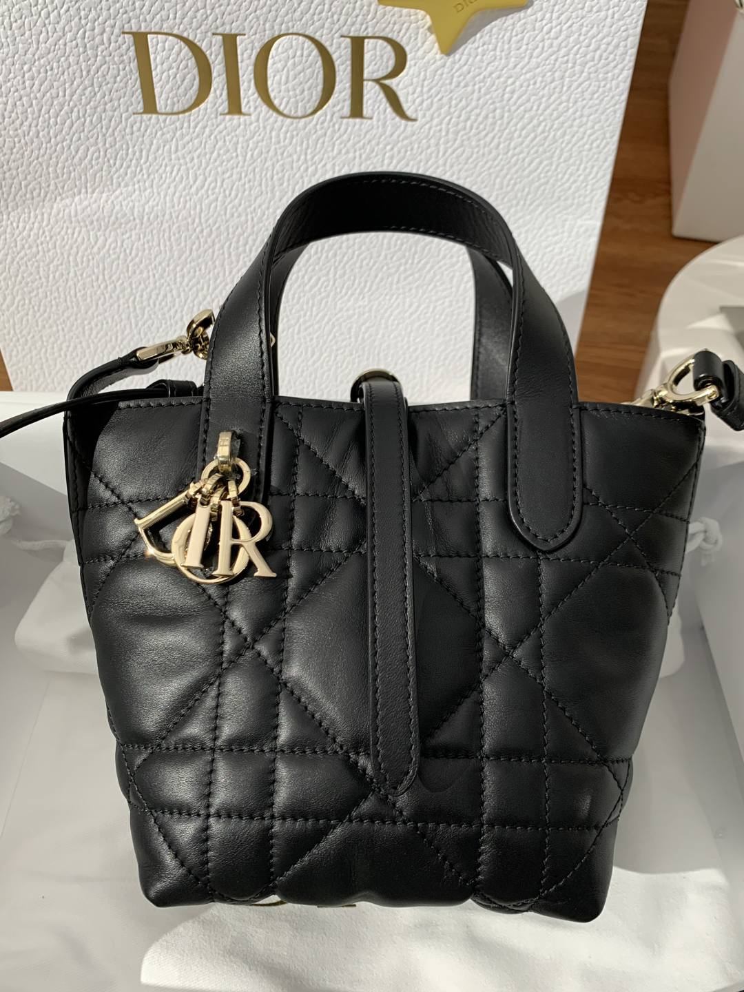Shebag super replica Dior Toujours mini bag review(Oct 2025 updated)-Інтэрнэт-крама падробленай сумкі Louis Vuitton лепшай якасці, рэплікі дызайнерскай сумкі ru