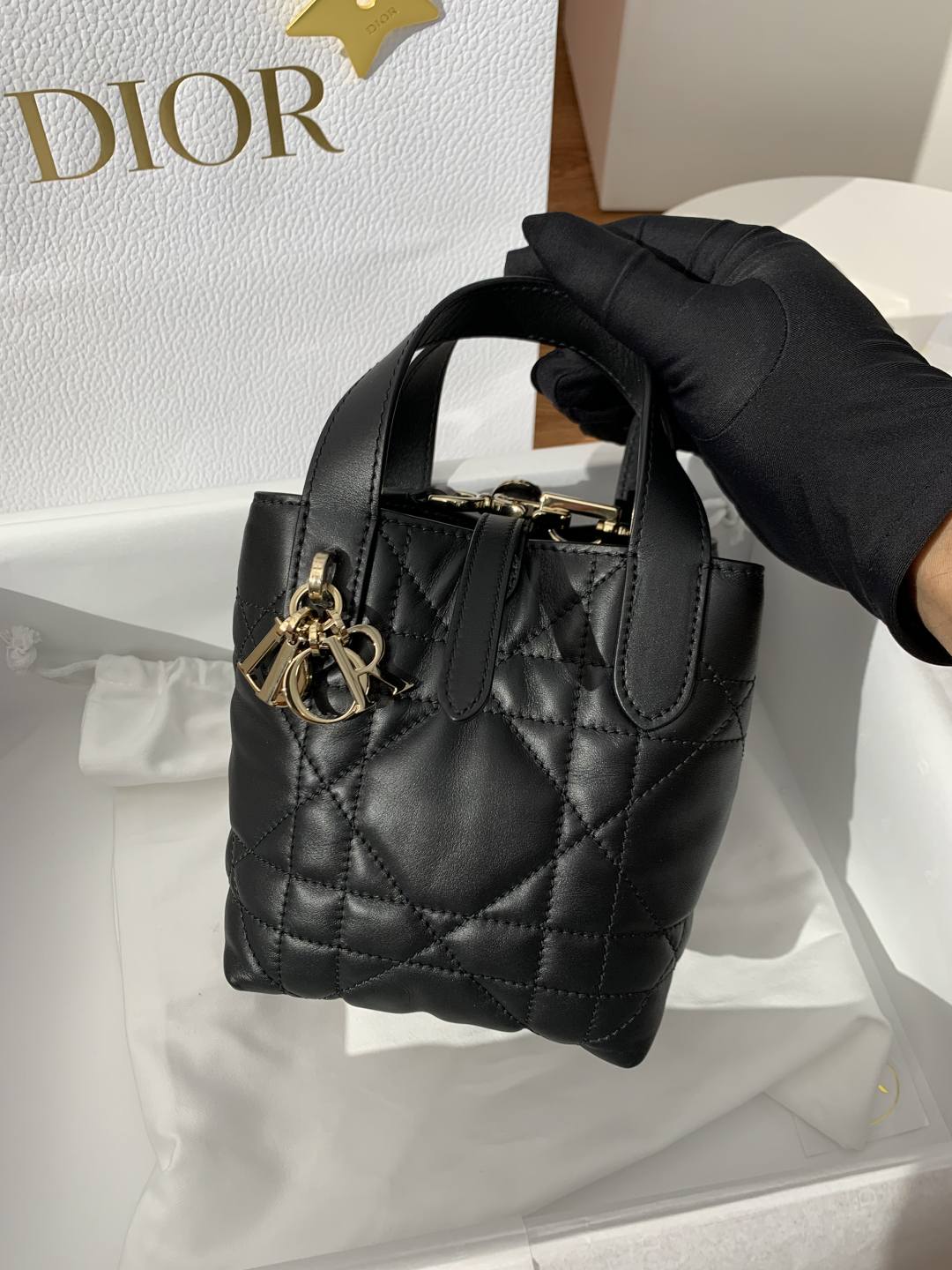 Shebag super replica Dior Toujours mini bag review(Oct 2025 updated)-Інтэрнэт-крама падробленай сумкі Louis Vuitton лепшай якасці, рэплікі дызайнерскай сумкі ru