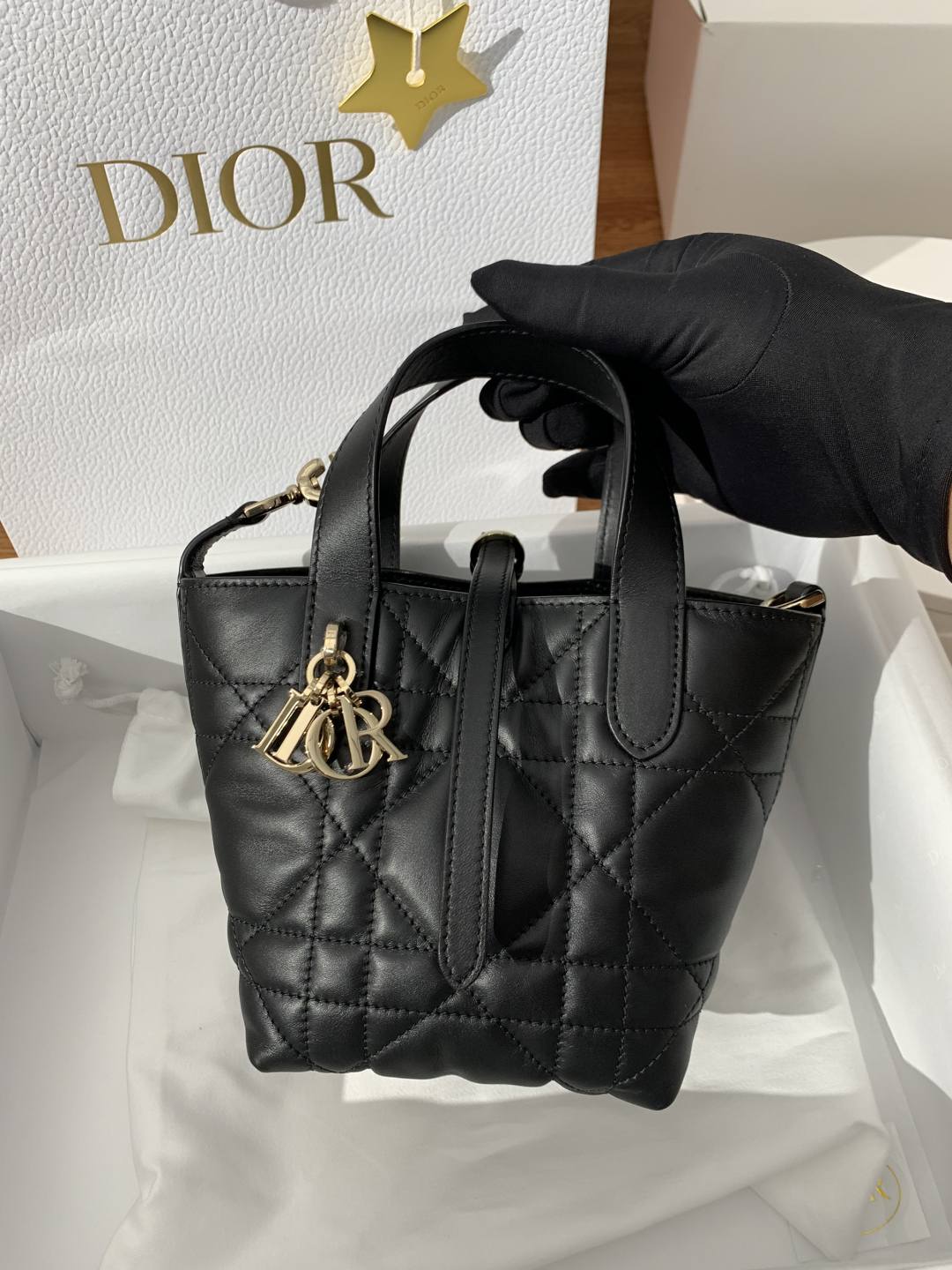 Shebag super replica Dior Toujours mini bag review(Oct 2025 updated)-Інтэрнэт-крама падробленай сумкі Louis Vuitton лепшай якасці, рэплікі дызайнерскай сумкі ru
