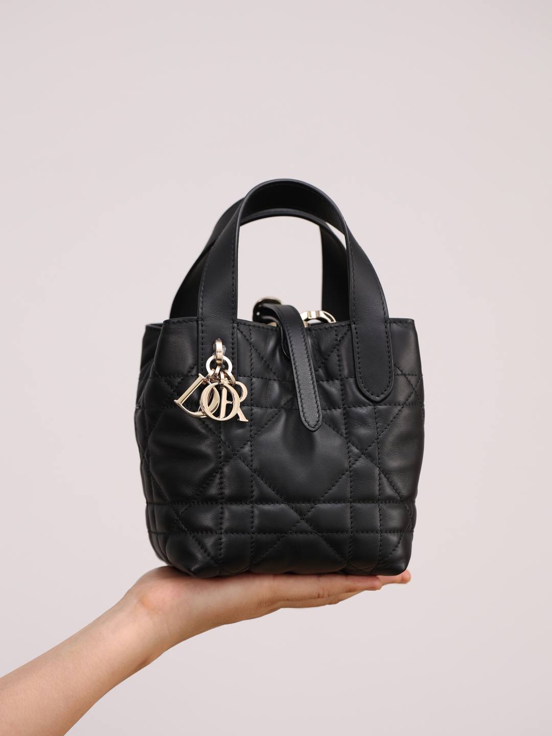 Shebag super replica Dior Toujours mini bag review(Oct 2025 updated)-Інтэрнэт-крама падробленай сумкі Louis Vuitton лепшай якасці, рэплікі дызайнерскай сумкі ru