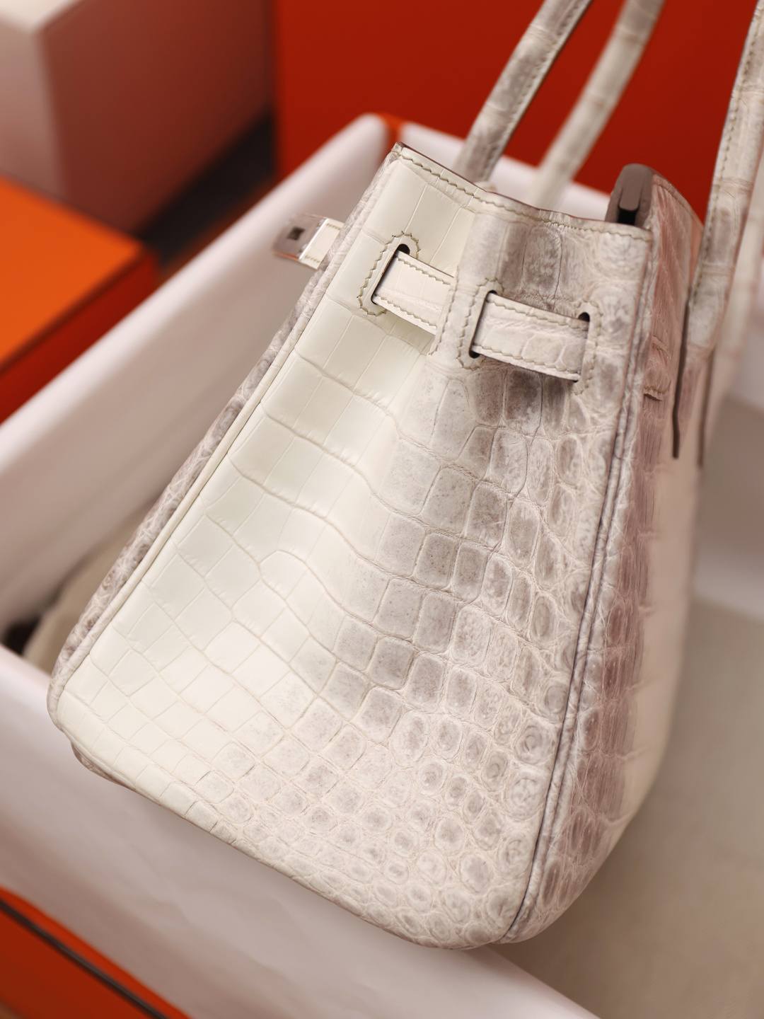 Shebag Hermes Birkin 30 Himalaya cocrodile leather bag review(Dec 2025 updated)-Best Quality Fake Louis Vuitton Bag Online Store, Replica designer bag ru Shebag Hermes Birkin 30 Himalaya cocrodile leather bag review(Dec 2025 updated)-Best Quality Fake Louis Vuitton Bag Online Store, Replica designer bag ru