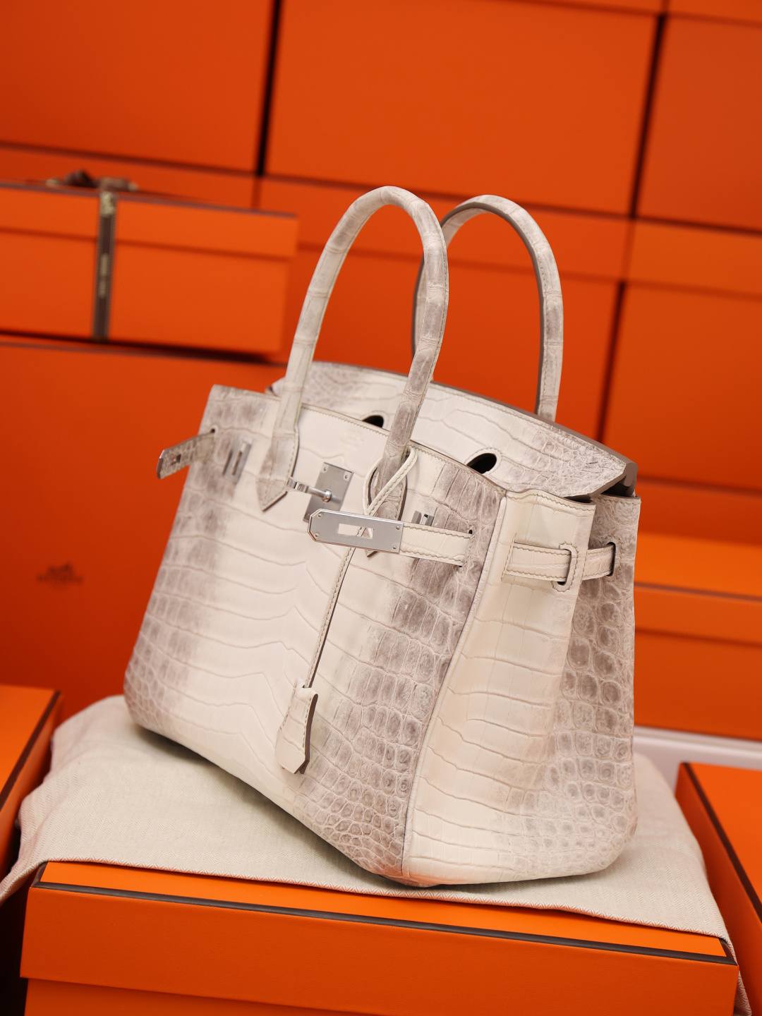 Shebag Hermes Birkin 30 Himalaya cocrodile leather bag review(Dec 2025 updated)-Best Quality Fake Louis Vuitton Bag Online Store, Replica designer bag ru Shebag Hermes Birkin 30 Himalaya cocrodile leather bag review(Dec 2025 updated)-Best Quality Fake Louis Vuitton Bag Online Store, Replica designer bag ru