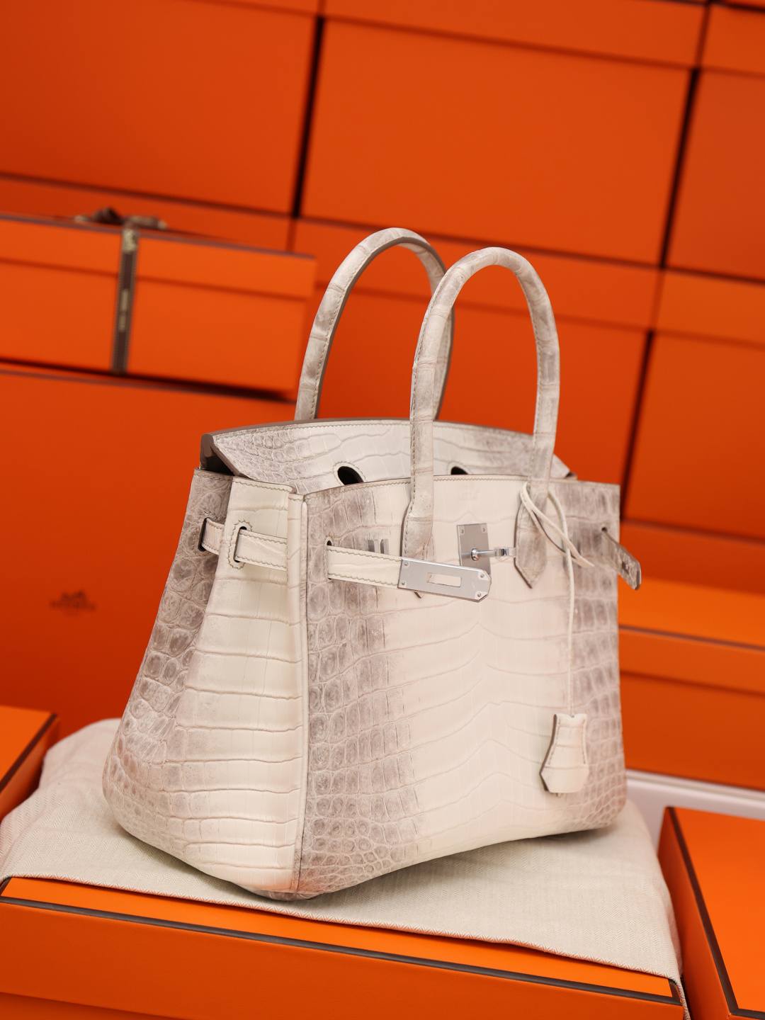 Shebag Hermes Birkin 30 Himalaya cocrodile leather bag review(Dec 2025 updated)-Best Quality Fake Louis Vuitton Bag Online Store, Replica designer bag ru Shebag Hermes Birkin 30 Himalaya cocrodile leather bag review(Dec 2025 updated)-Best Quality Fake Louis Vuitton Bag Online Store, Replica designer bag ru