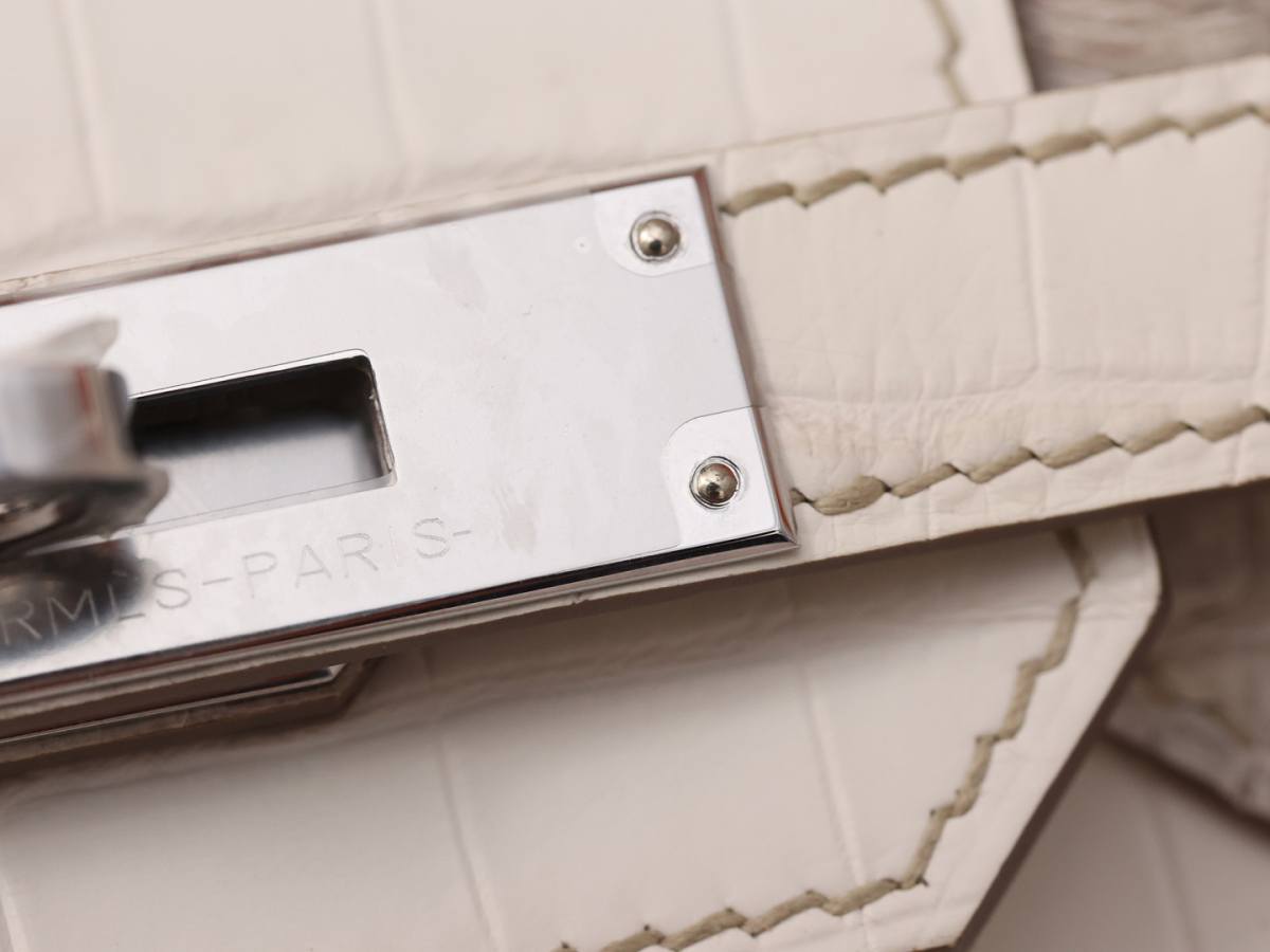 Shebag Hermes Birkin 30 Himalaya cocrodile leather bag review(Dec 2025 updated)-Best Quality Fake Louis Vuitton Bag Online Store, Replica designer bag ru Shebag Hermes Birkin 30 Himalaya cocrodile leather bag review(Dec 2025 updated)-Best Quality Fake Louis Vuitton Bag Online Store, Replica designer bag ru