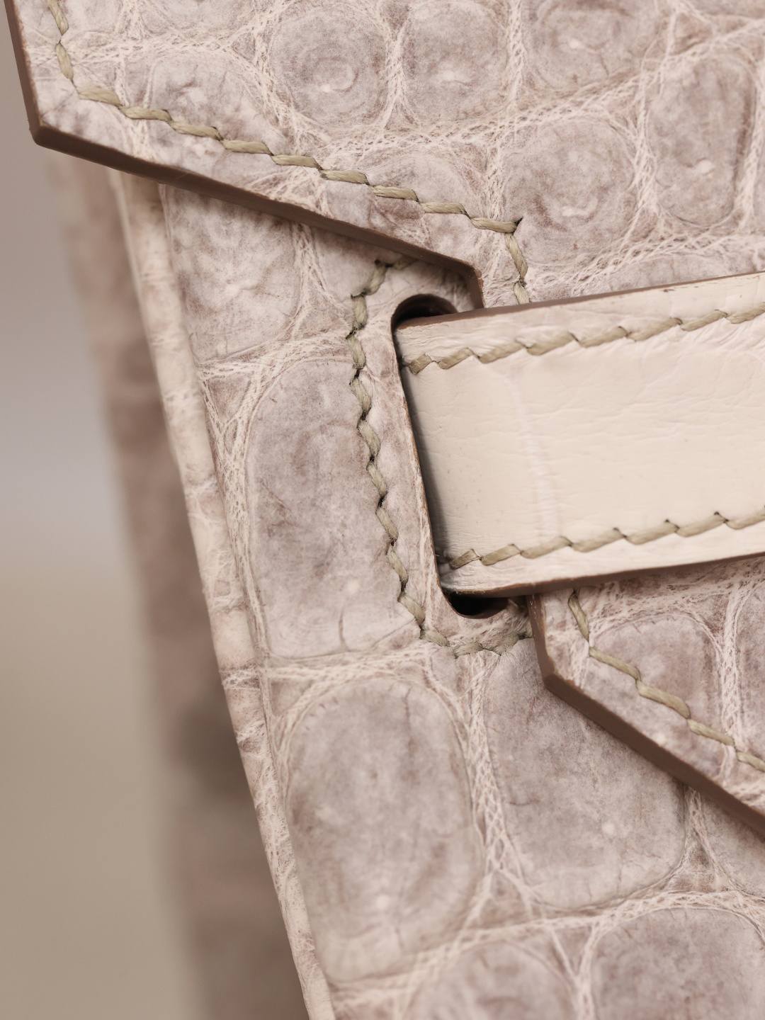 Shebag Hermes Birkin 30 Himalaya cocrodile leather bag review(Dec 2025 updated)-Best Quality Fake Louis Vuitton Bag Online Store, Replica designer bag ru Shebag Hermes Birkin 30 Himalaya cocrodile leather bag review(Dec 2025 updated)-Best Quality Fake Louis Vuitton Bag Online Store, Replica designer bag ru