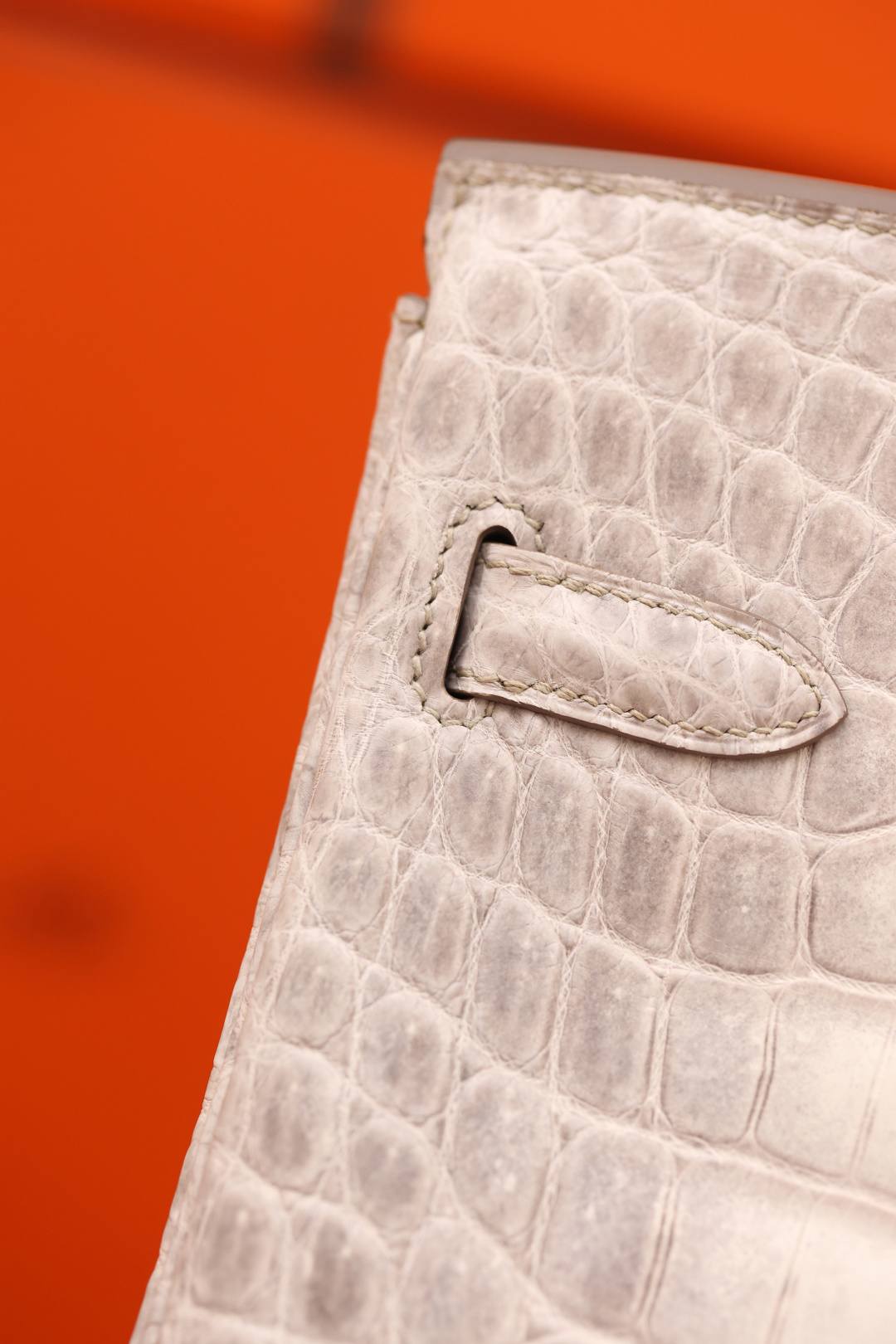 Shebag Hermes Birkin 30 Himalaya cocrodile leather bag review(Dec 2025 updated)-Best Quality Fake Louis Vuitton Bag Online Store, Replica designer bag ru Shebag Hermes Birkin 30 Himalaya cocrodile leather bag review(Dec 2025 updated)-Best Quality Fake Louis Vuitton Bag Online Store, Replica designer bag ru