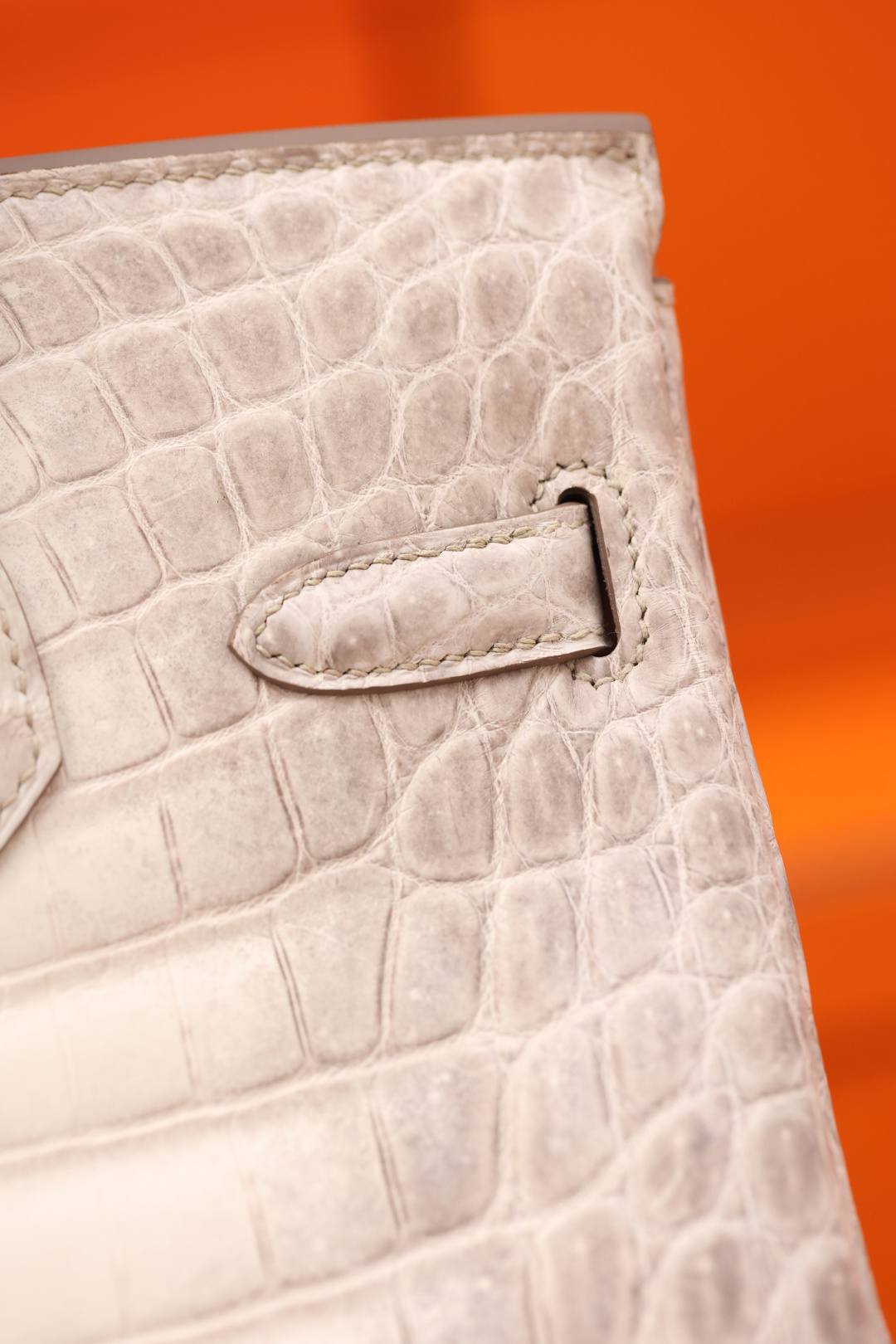 Shebag Hermes Birkin 30 Himalaya cocrodile leather bag review(Dec 2025 updated)-Best Quality Fake Louis Vuitton Bag Online Store, Replica designer bag ru Shebag Hermes Birkin 30 Himalaya cocrodile leather bag review(Dec 2025 updated)-Best Quality Fake Louis Vuitton Bag Online Store, Replica designer bag ru