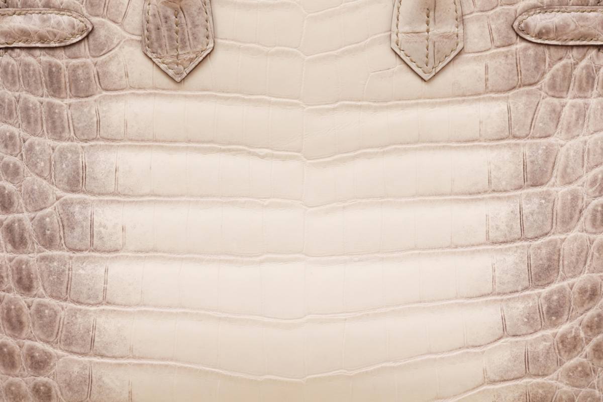 Shebag Hermes Birkin 30 Himalaya cocrodile leather bag review(Dec 2025 updated)-Best Quality Fake Louis Vuitton Bag Online Store, Replica designer bag ru Shebag Hermes Birkin 30 Himalaya cocrodile leather bag review(Dec 2025 updated)-Best Quality Fake Louis Vuitton Bag Online Store, Replica designer bag ru