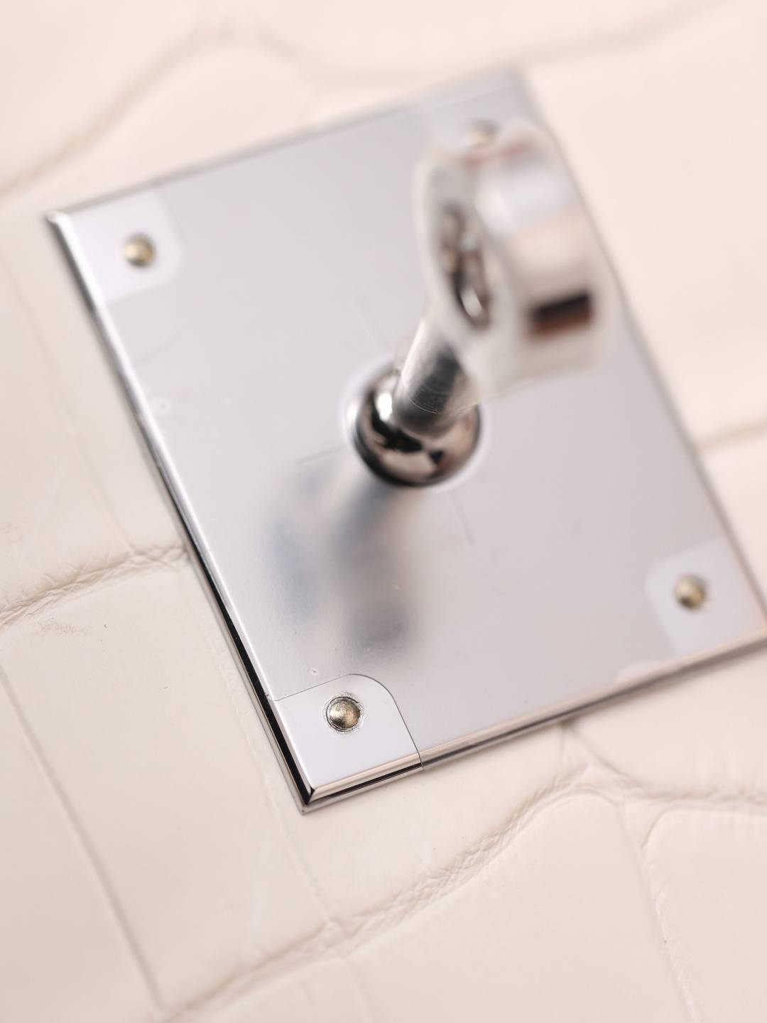 Shebag Hermes Birkin 30 Himalaya cocrodile leather bag review(Dec 2025 updated)-Best Quality Fake Louis Vuitton Bag Online Store, Replica designer bag ru Shebag Hermes Birkin 30 Himalaya cocrodile leather bag review(Dec 2025 updated)-Best Quality Fake Louis Vuitton Bag Online Store, Replica designer bag ru