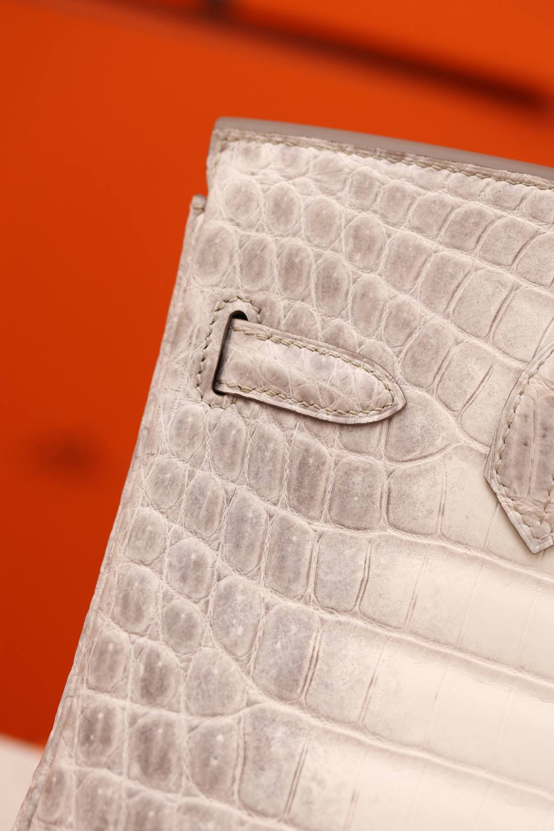 Shebag Hermes Birkin 30 Himalaya cocrodile leather bag review(Dec 2025 updated)-Best Quality Fake Louis Vuitton Bag Online Store, Replica designer bag ru Shebag Hermes Birkin 30 Himalaya cocrodile leather bag review(Dec 2025 updated)-Best Quality Fake Louis Vuitton Bag Online Store, Replica designer bag ru