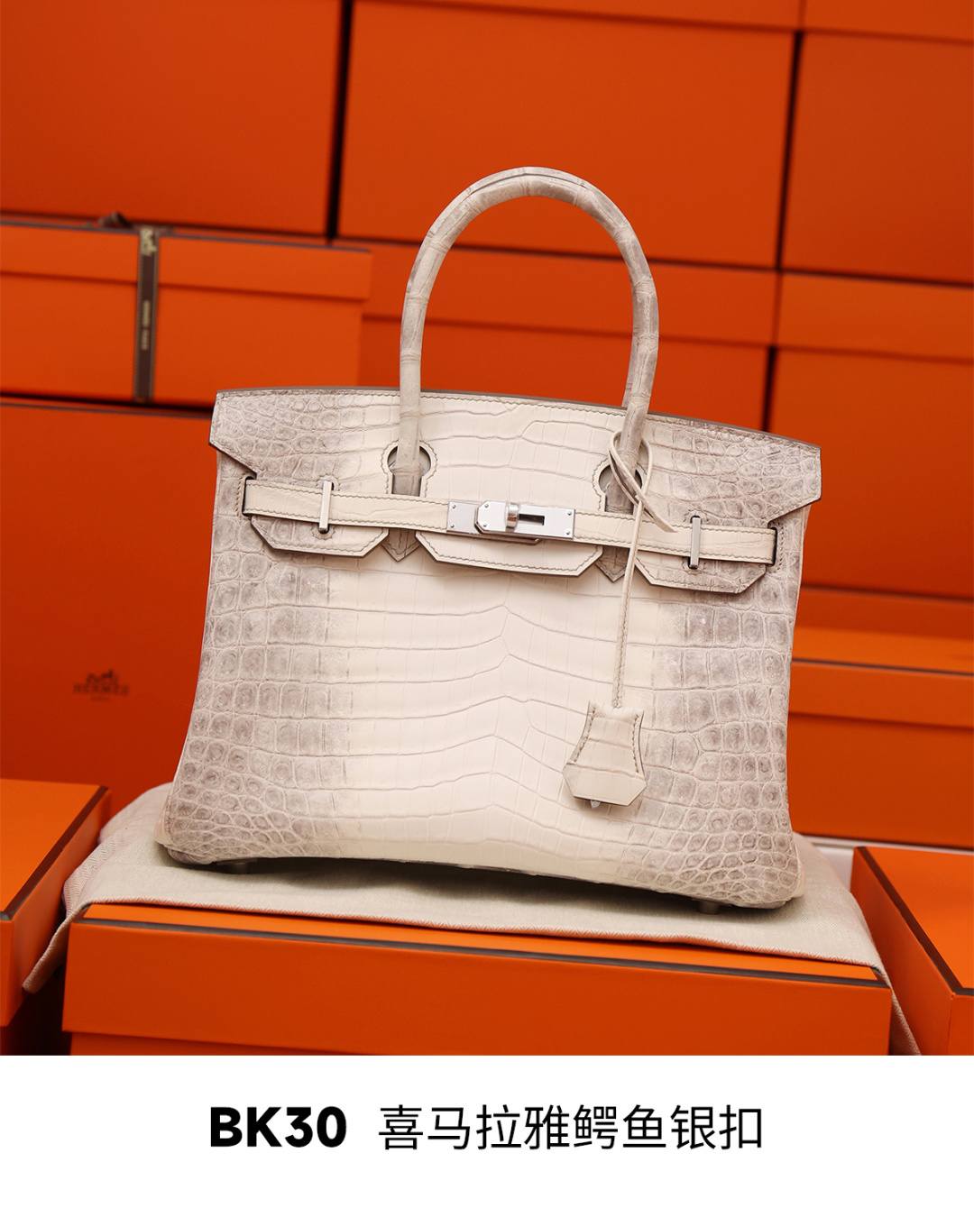 Shebag Hermes Birkin 30 Himalaya cocrodile leather bag review(Dec 2025 updated)-Best Quality Fake Louis Vuitton Bag Online Store, Replica designer bag ru Shebag Hermes Birkin 30 Himalaya cocrodile leather bag review(Dec 2025 updated)-Best Quality Fake Louis Vuitton Bag Online Store, Replica designer bag ru